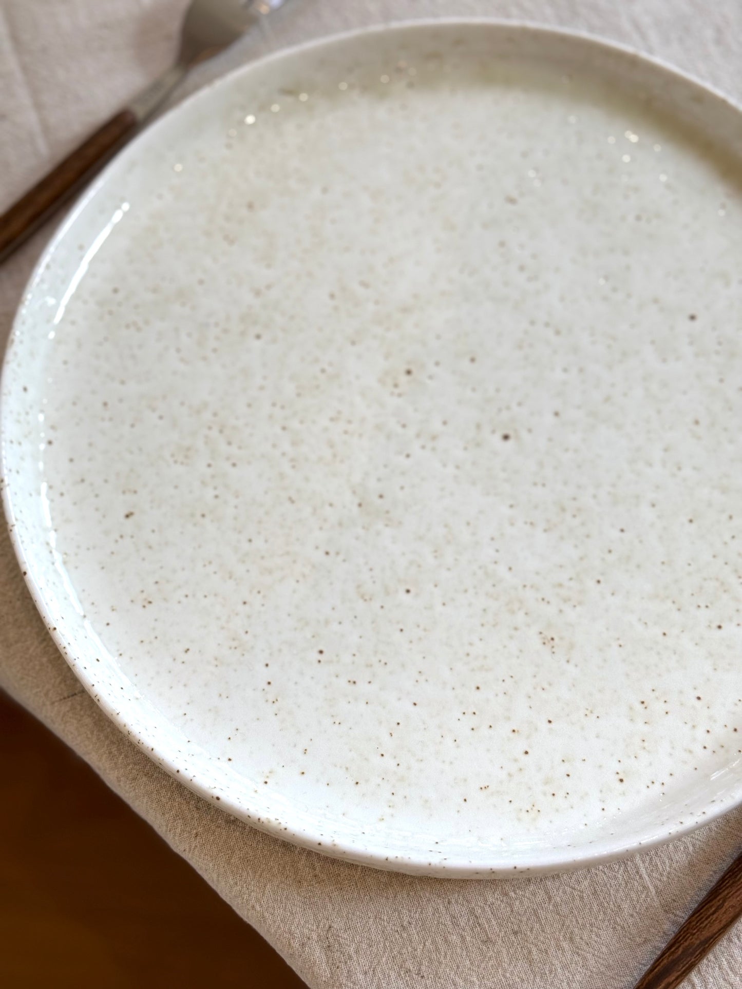 Assiette à dîner porcelaine, BEACH vendue par 2