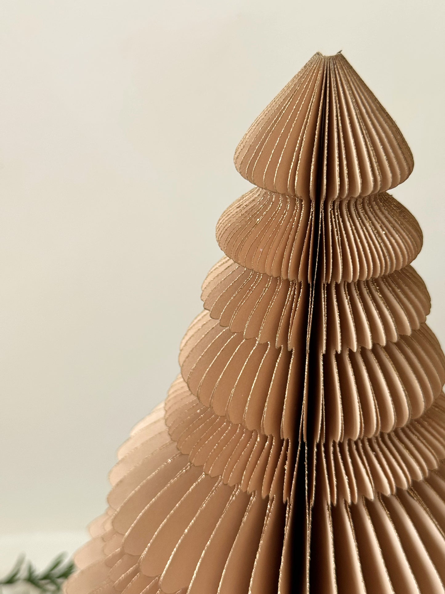 Sapin papier - BEIGE