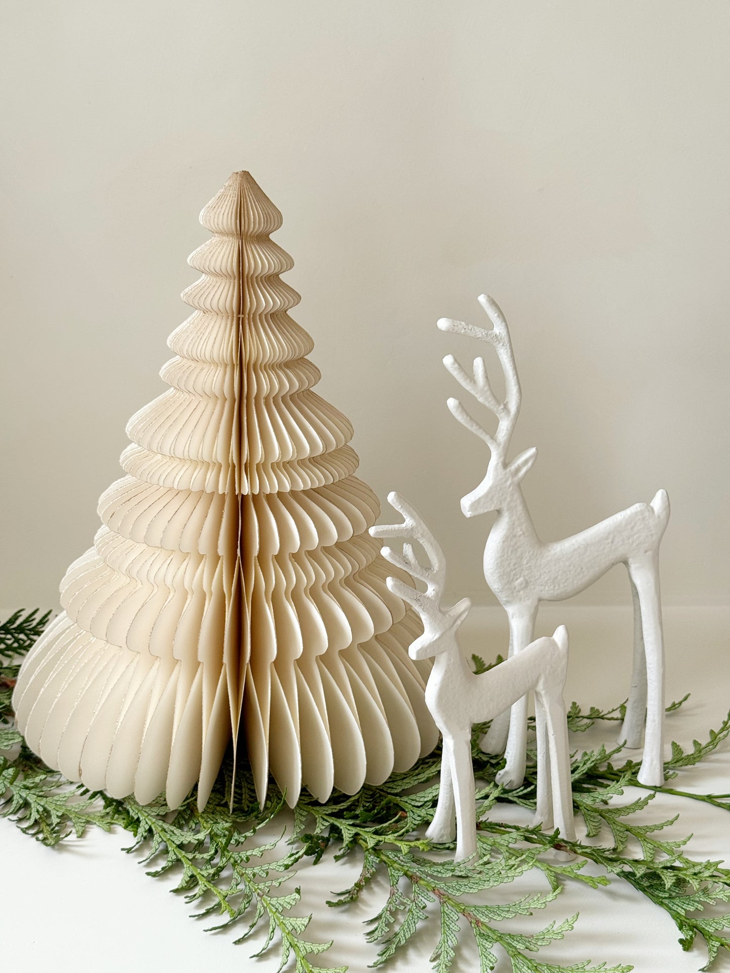 Sapin papier - ÉCRU