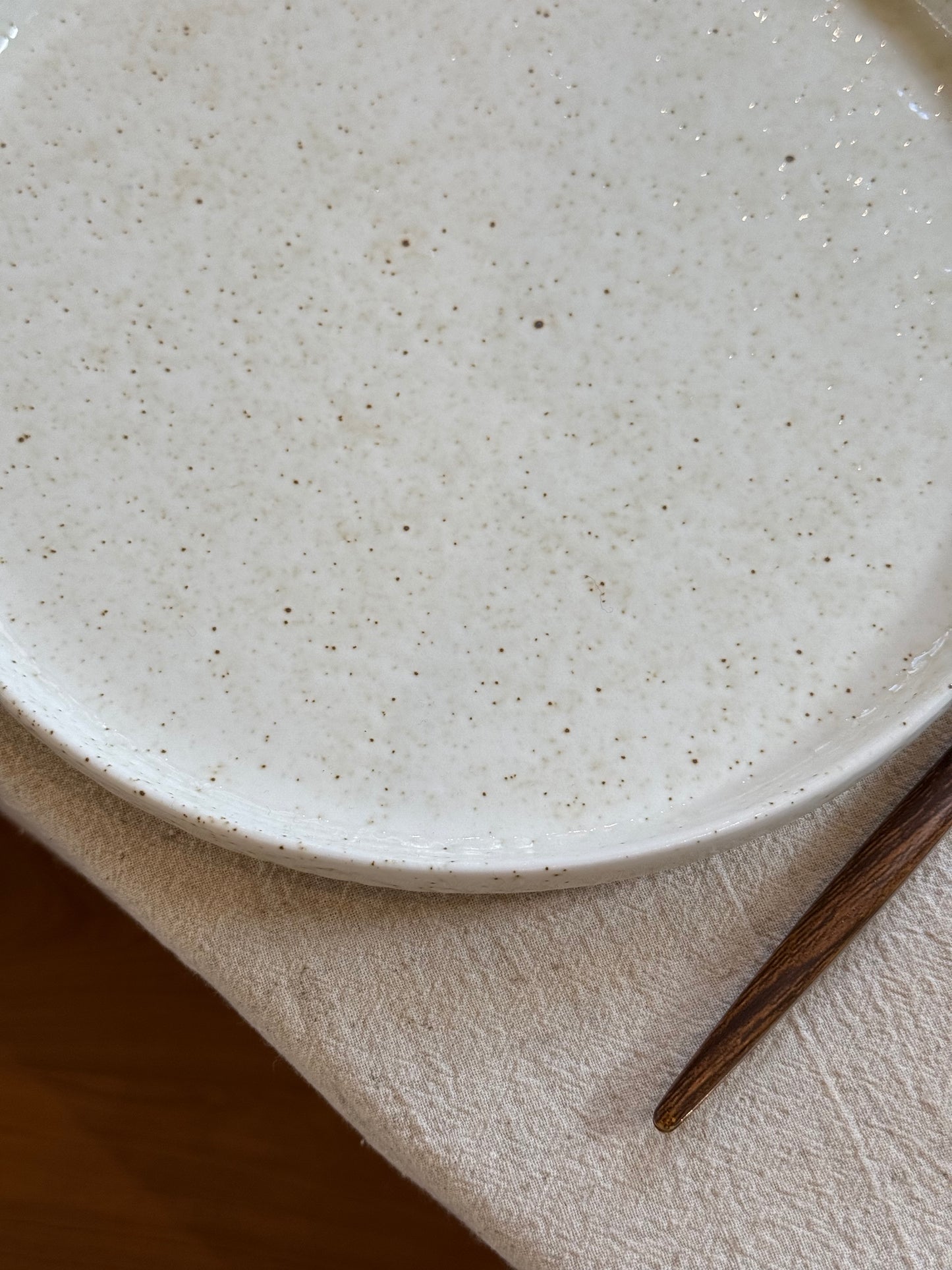 Assiette à dîner porcelaine, BEACH vendue par 2
