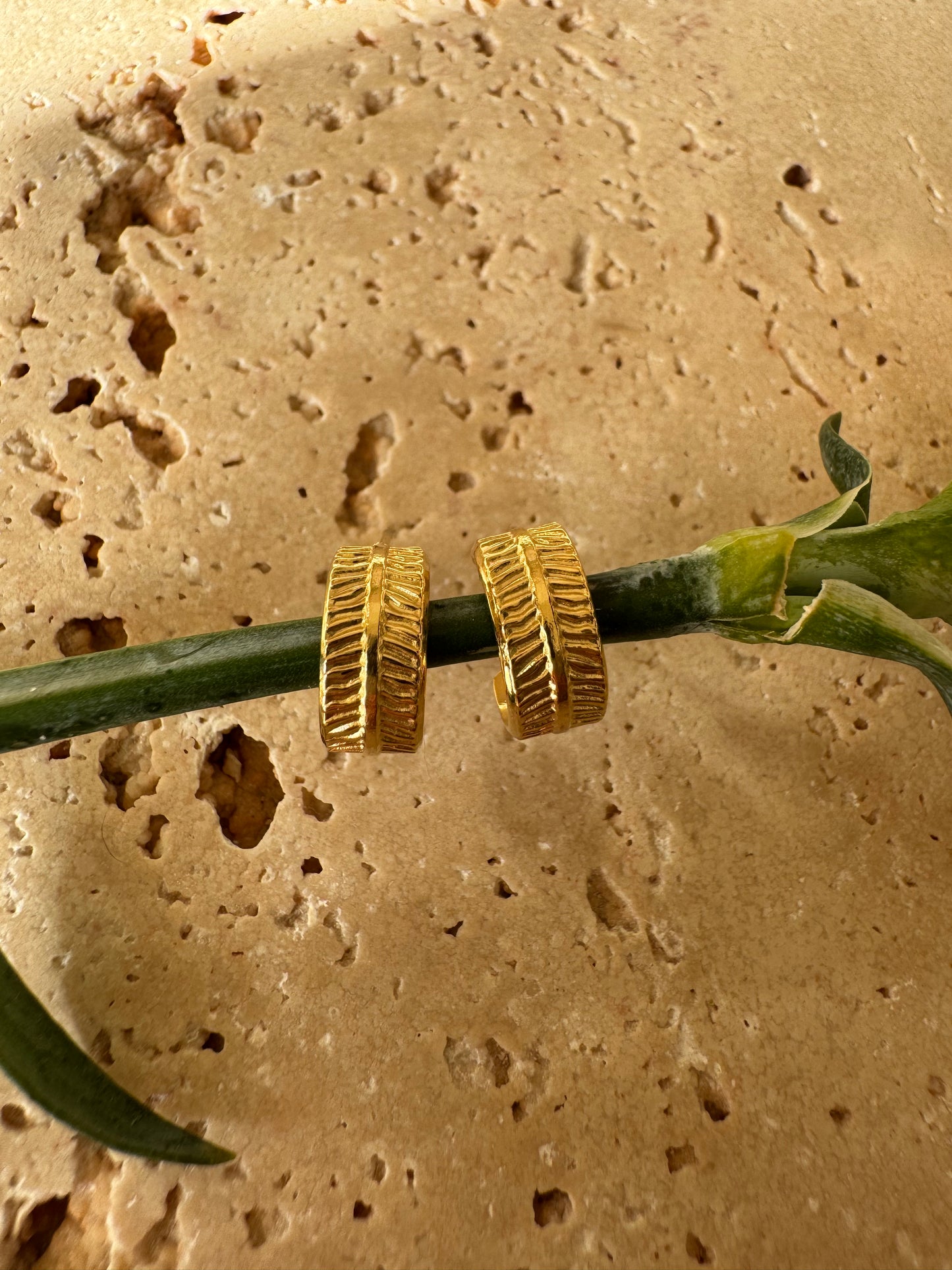 Boucles d'oreilles, BARI