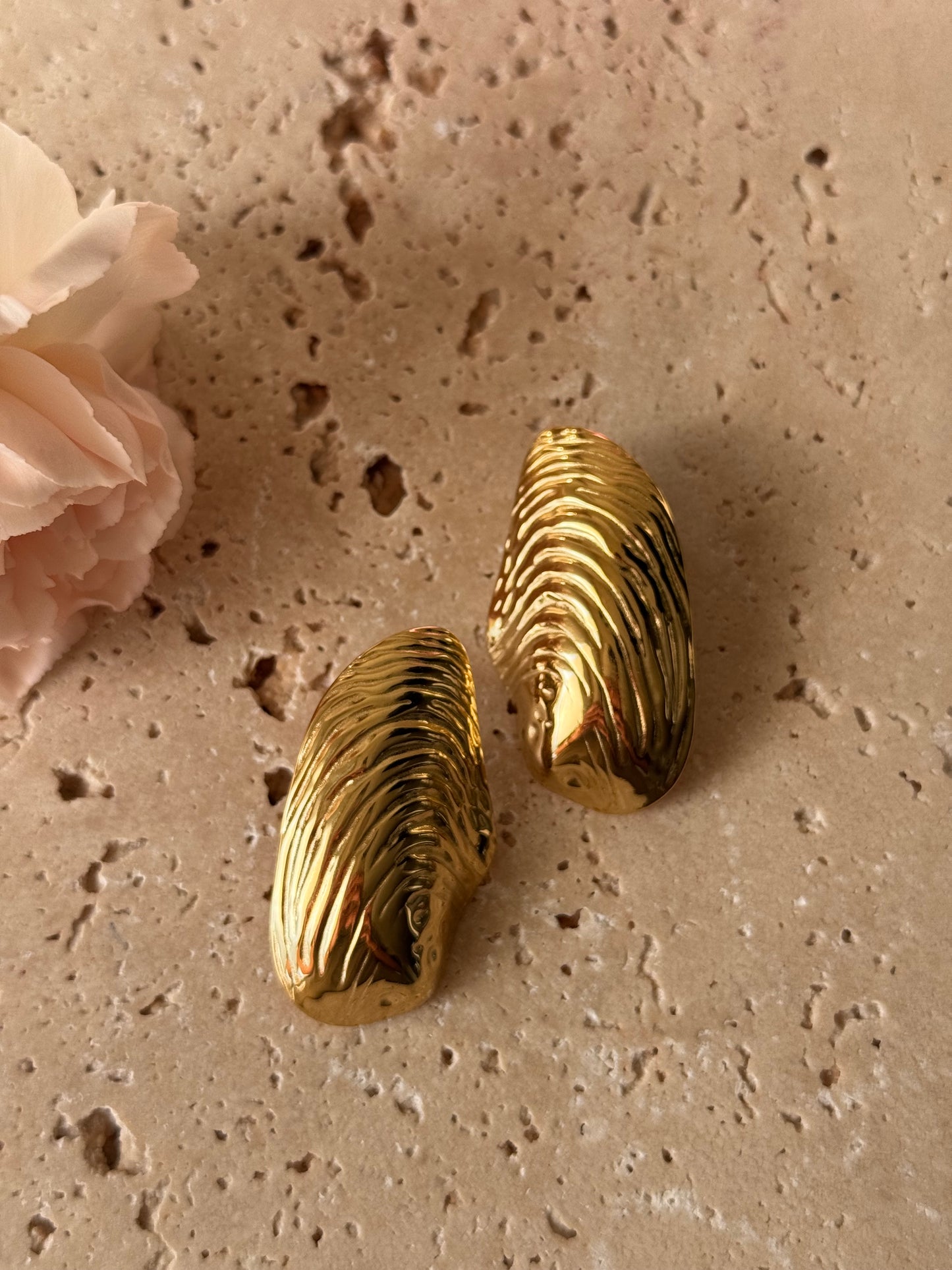 Boucles d'oreilles, CAP FERRET
