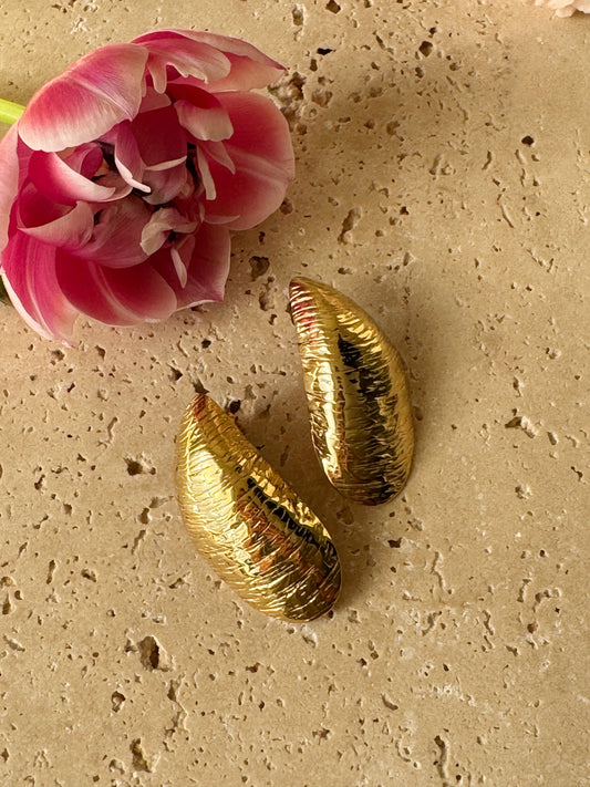 Boucles d'oreilles, LACANAU