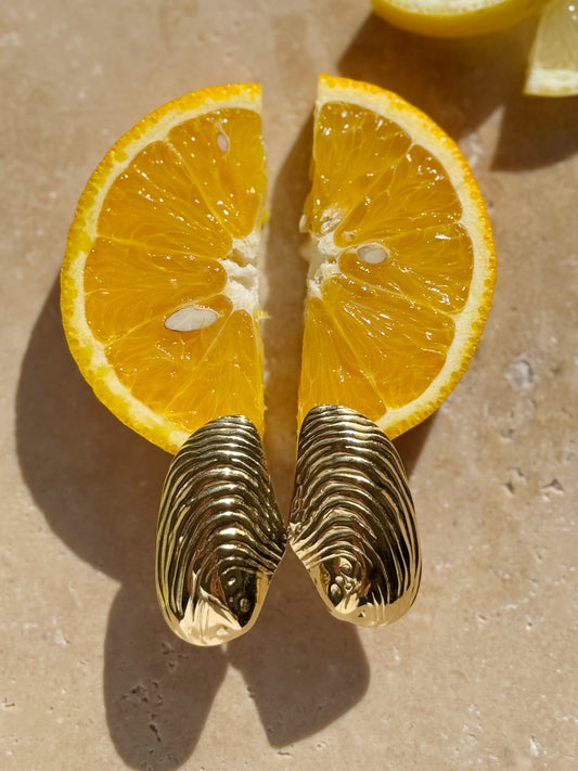 Boucles d'oreilles, CAP FERRET