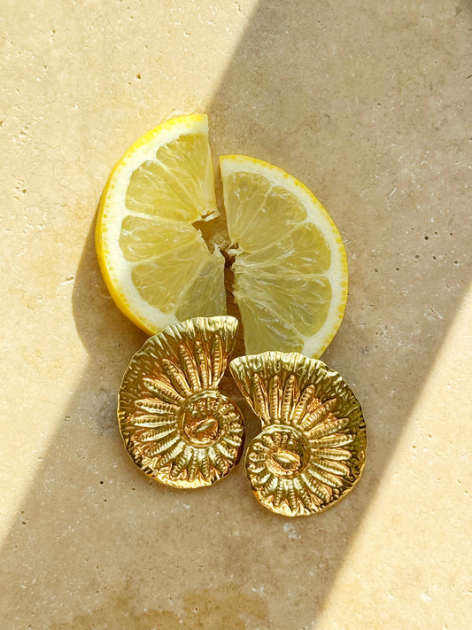 Boucles d'oreilles, SHELL