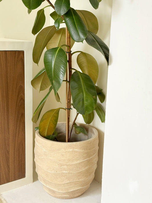 Cache-pot beige - WAVE