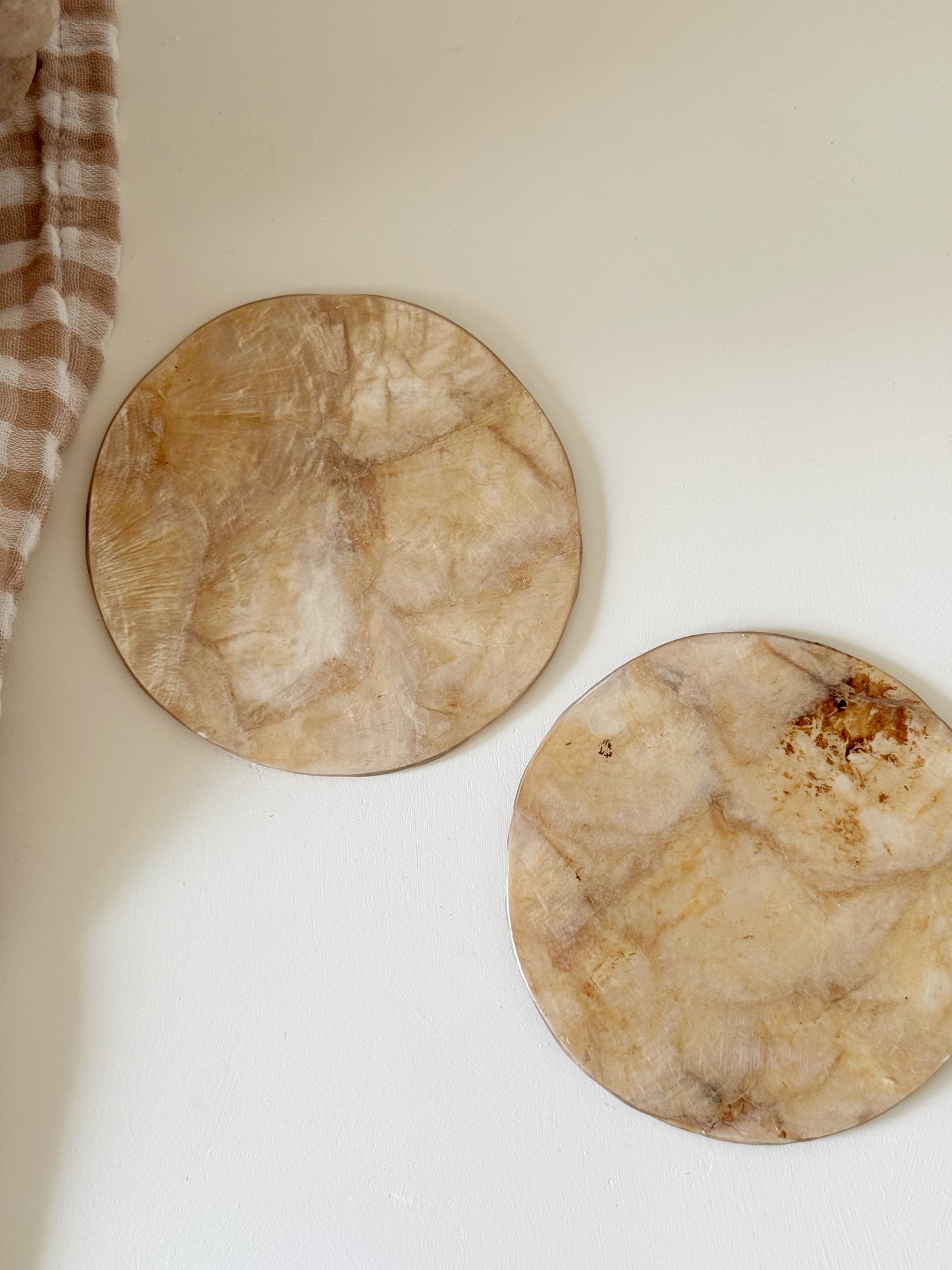 Dessous de verre x6 - COQUILLAGE