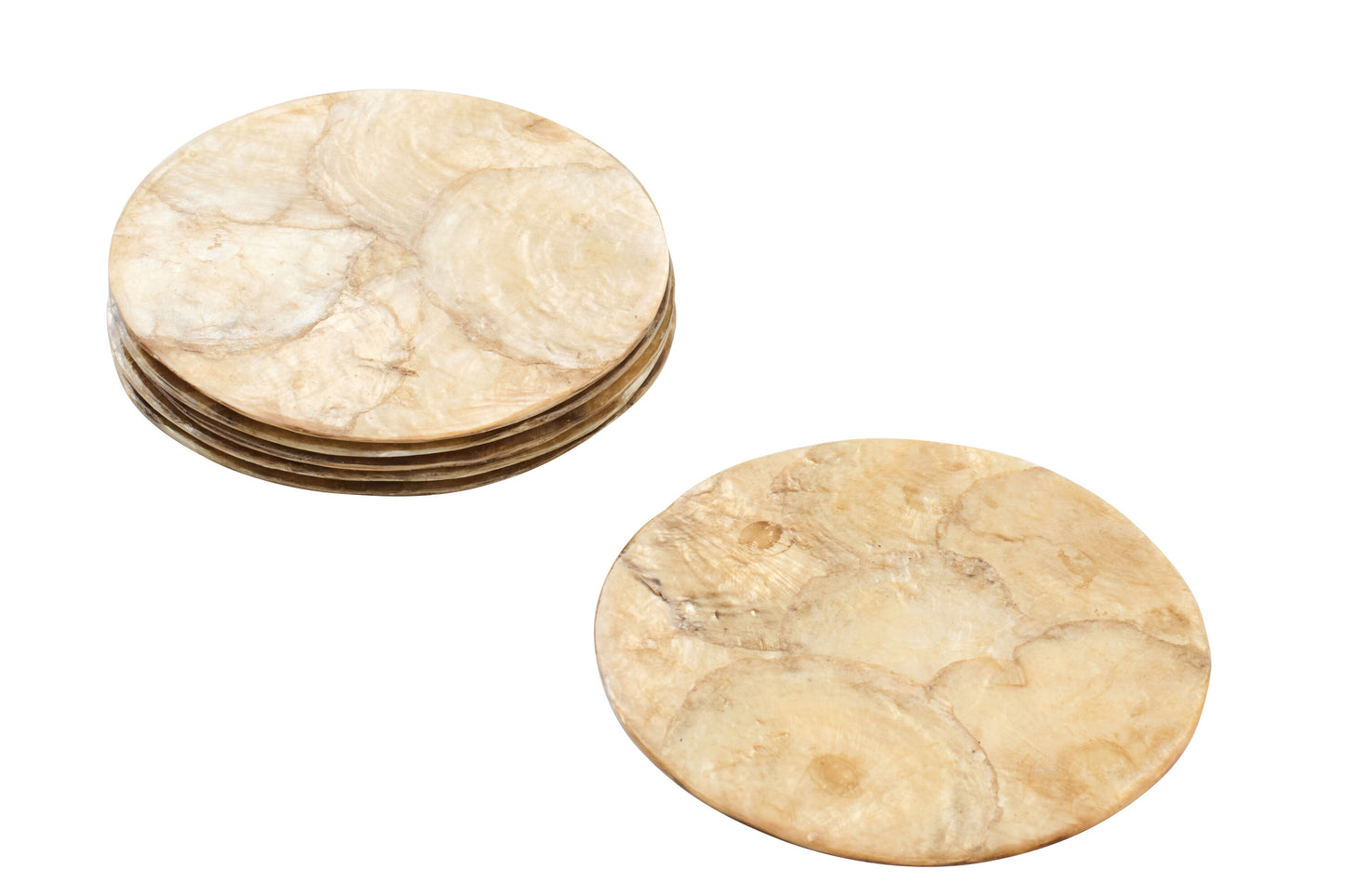 Dessous de verre x6 - COQUILLAGE