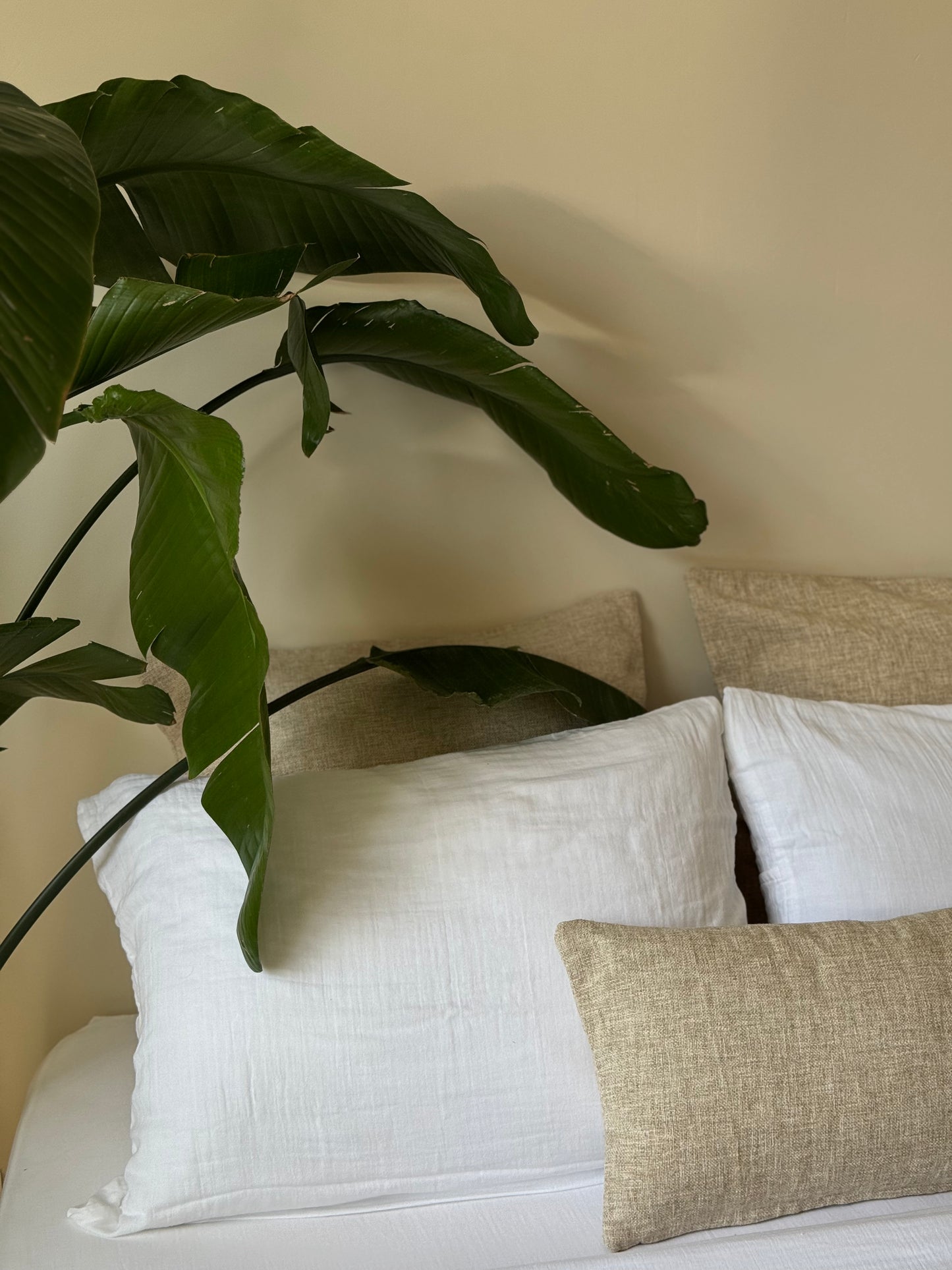 Housse de couette blanc, GAZE DE COTON