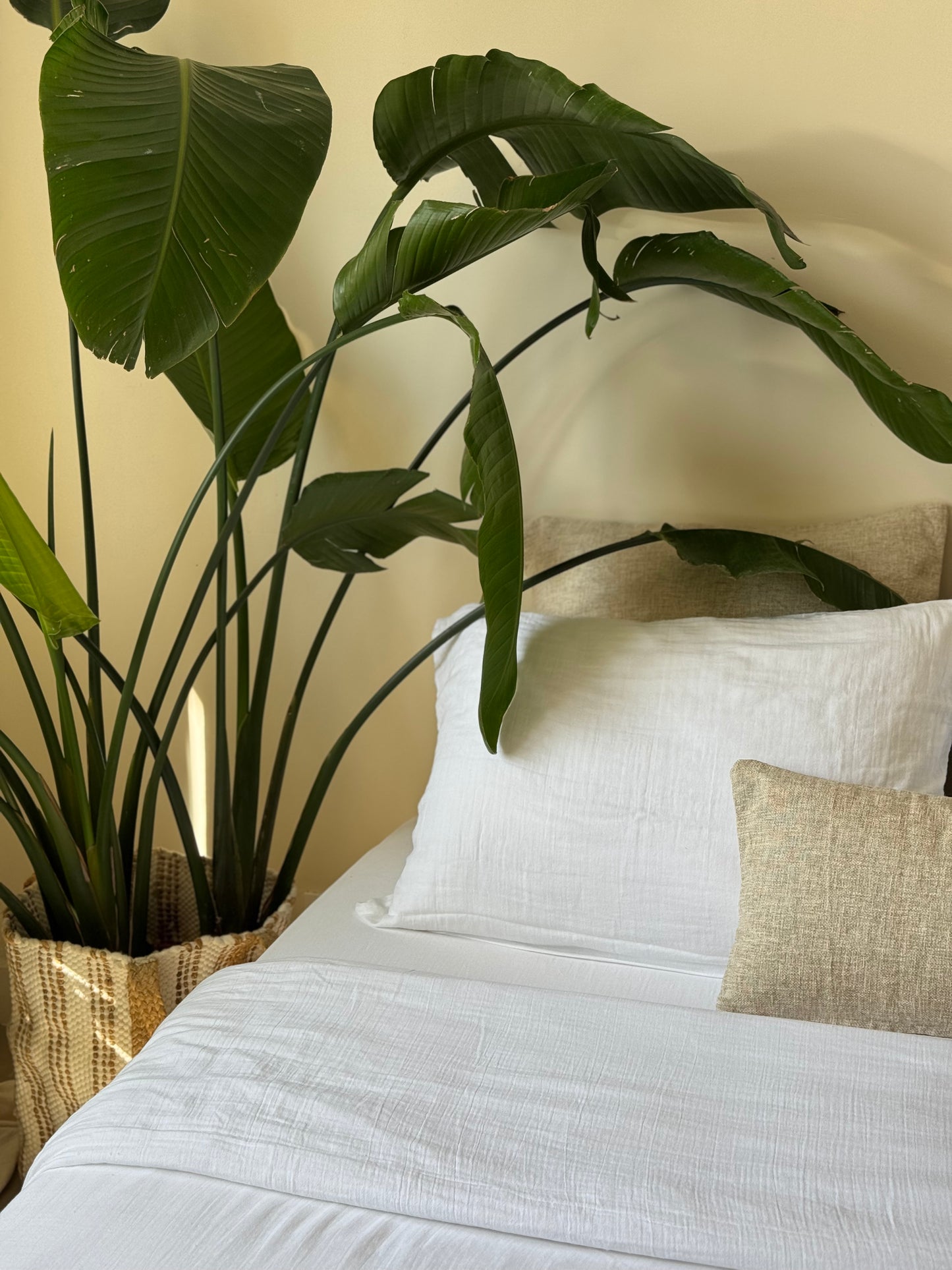 Housse de couette blanc, GAZE DE COTON