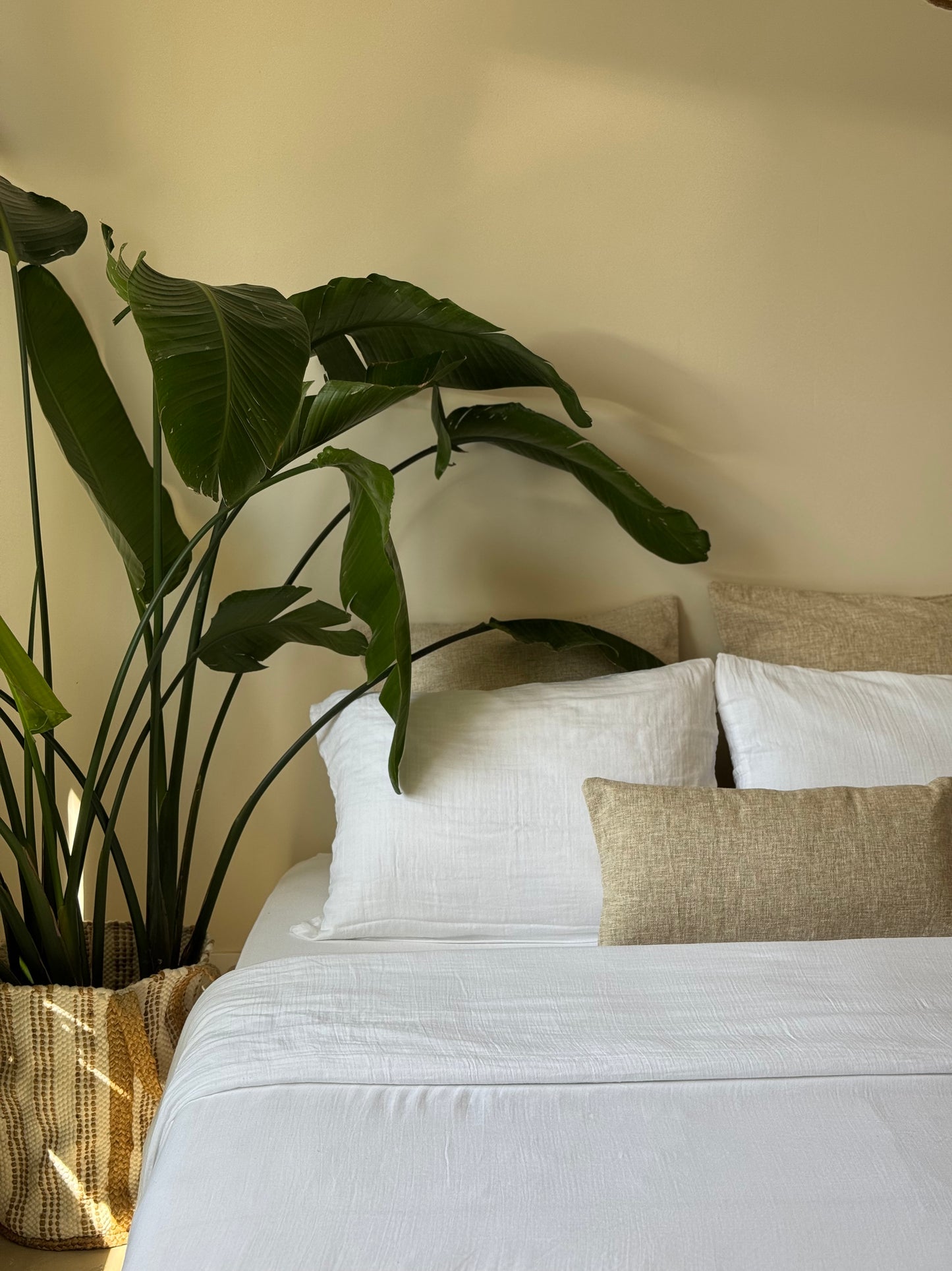 Housse de couette blanc, GAZE DE COTON
