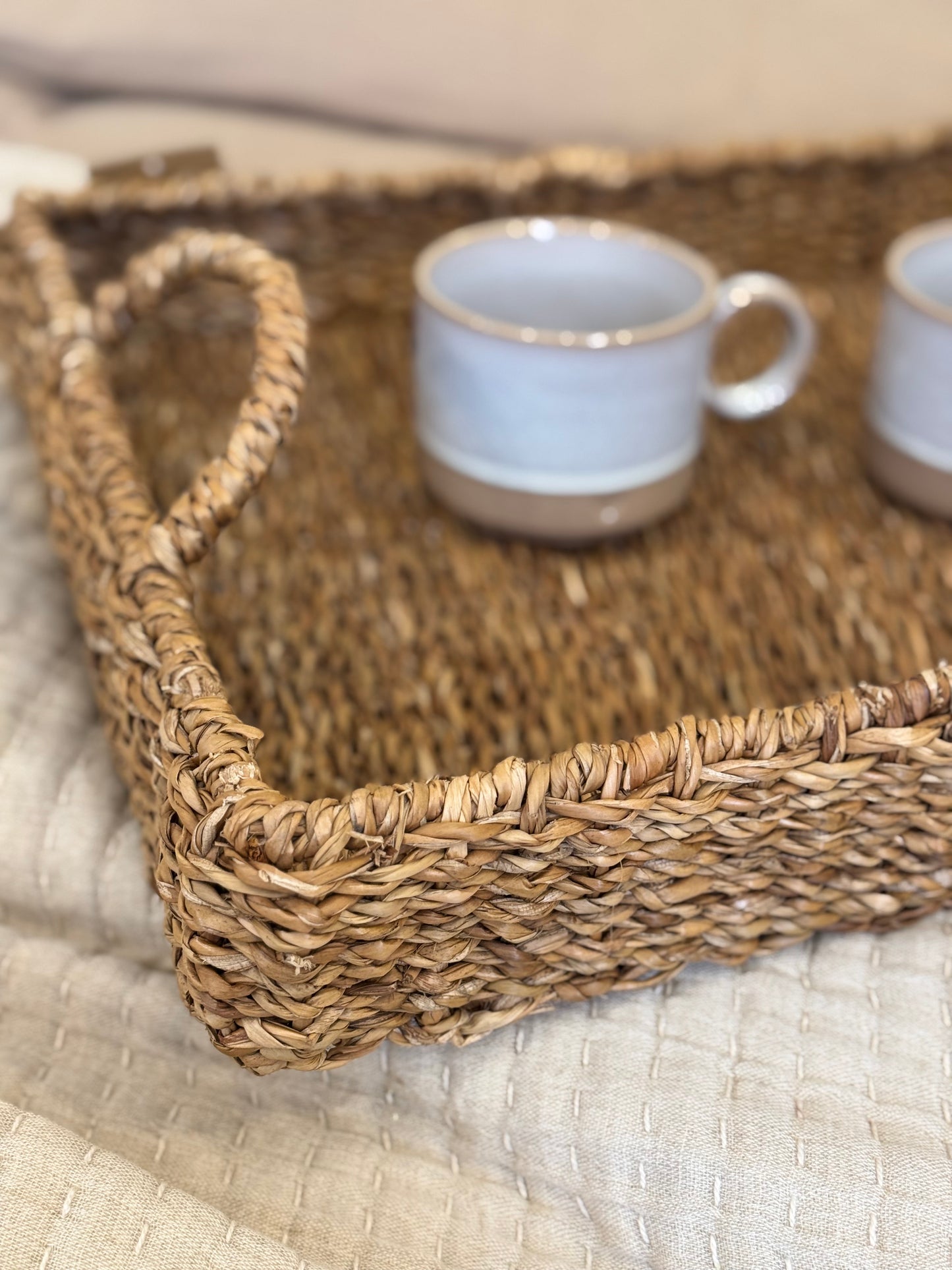 Plateau jonc de mer, BRAID