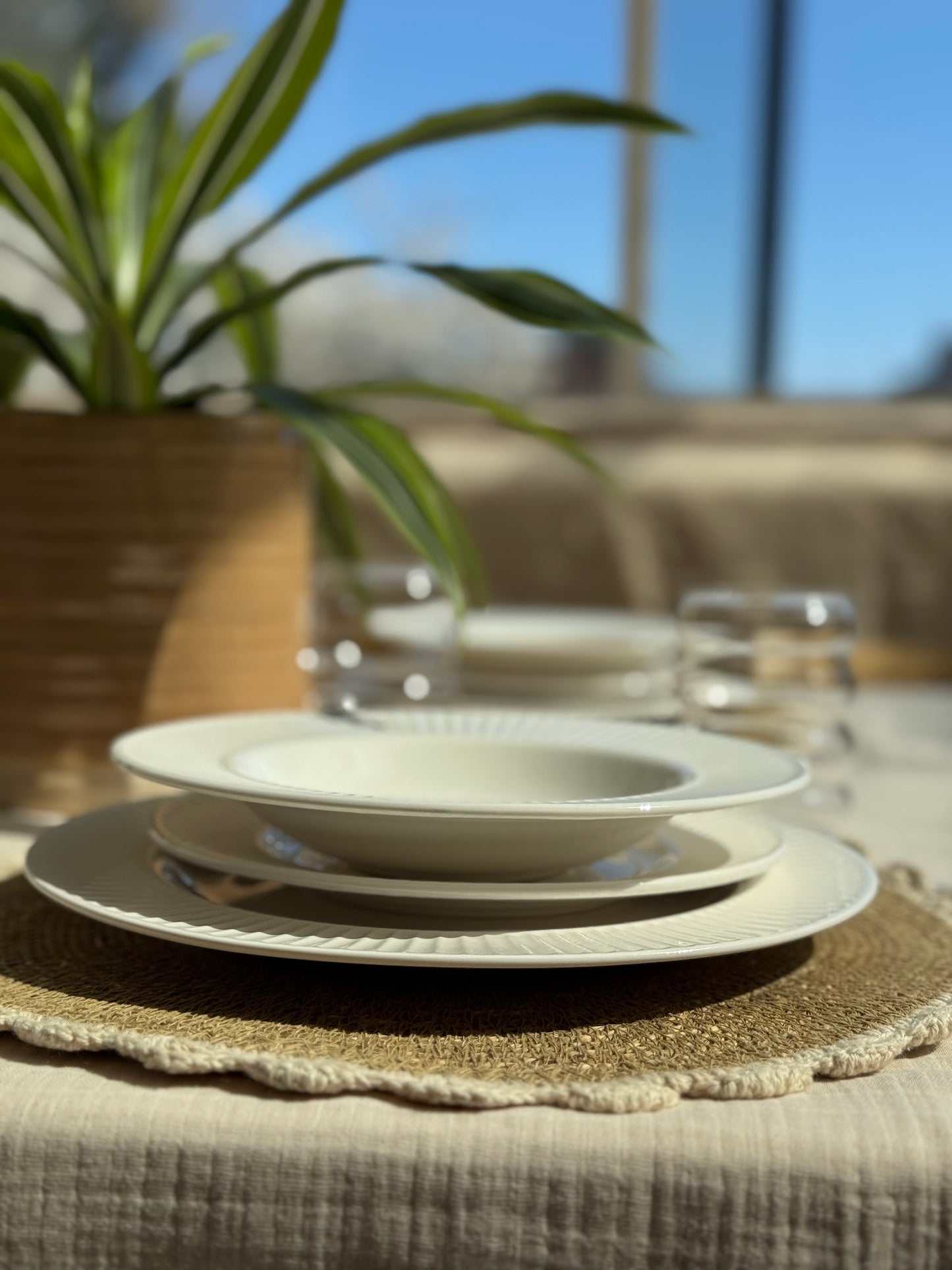 Set de table rond, ALGA