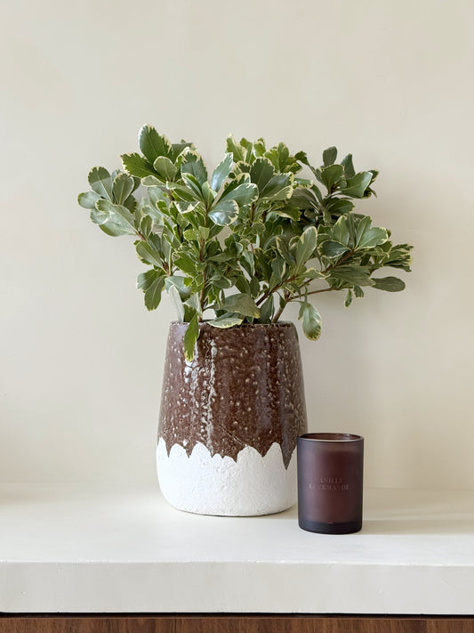 Vase marron - PRILLO