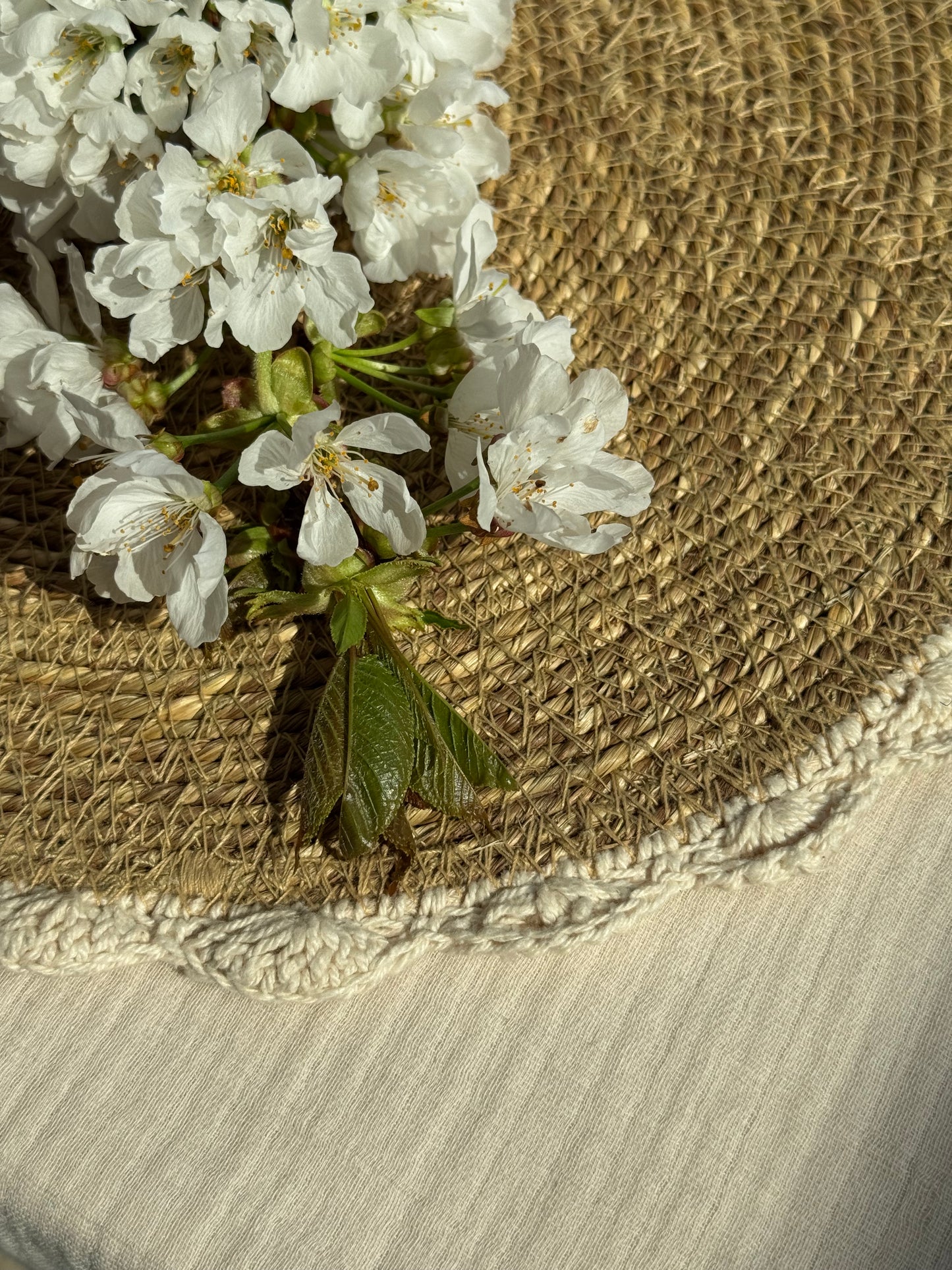 Set de table rond, ALGA
